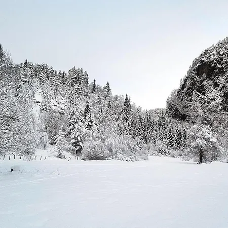 بيت للعطل Three-bedroom In Vikanes Eikemo