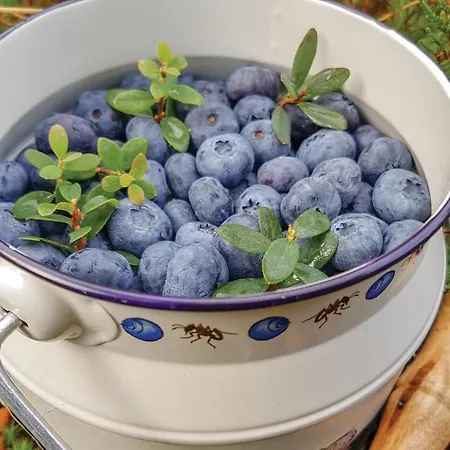 بيت للعطل Three-bedroom In Vikanes